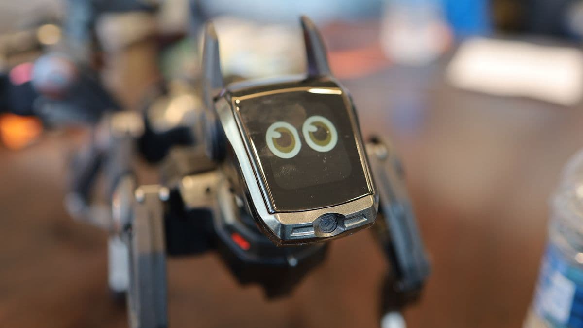 Hengbot Sirius: AI Robot Dogs and the Tech Industry's Privilege Problem