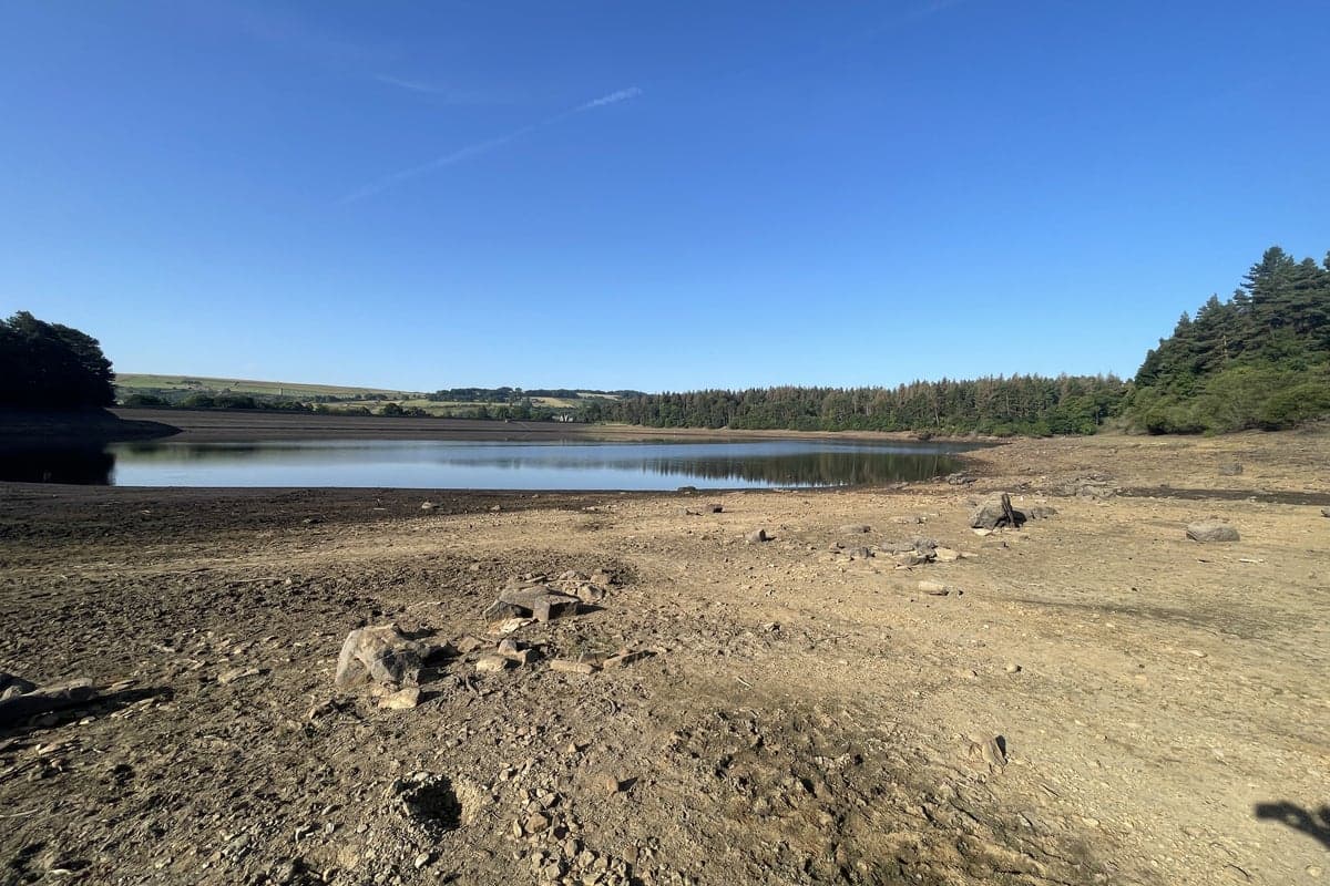 Water Scarcity Exposes Britain's Climate Vulnerability